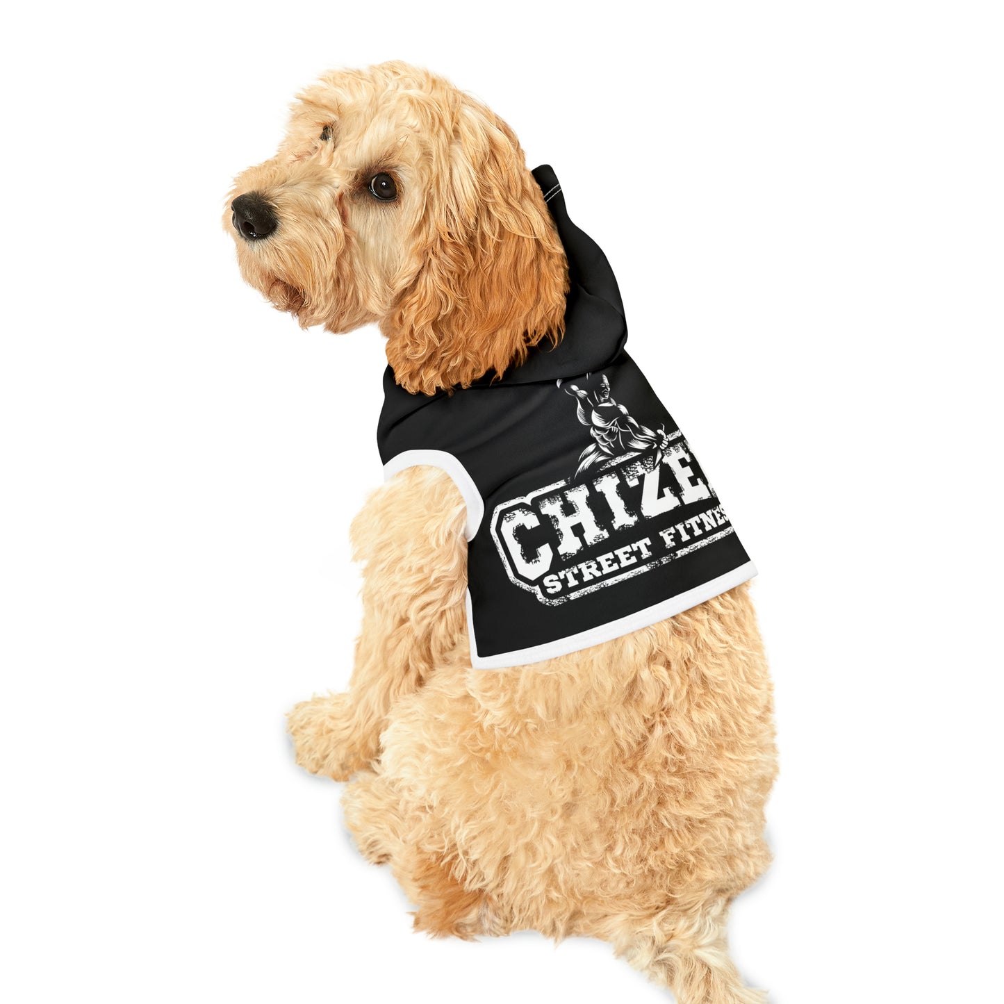 Pet Hoodie